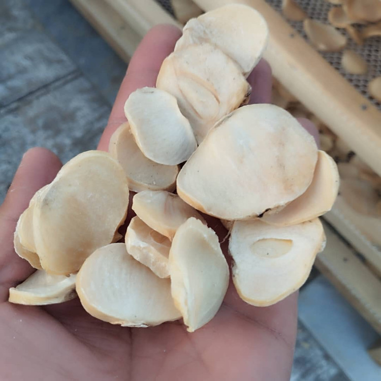 موسیر پلاکی همدان سوپرلوکس با بسته بندی بهداشتی