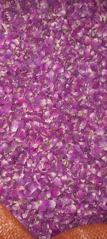 پر گل محمدی خشک