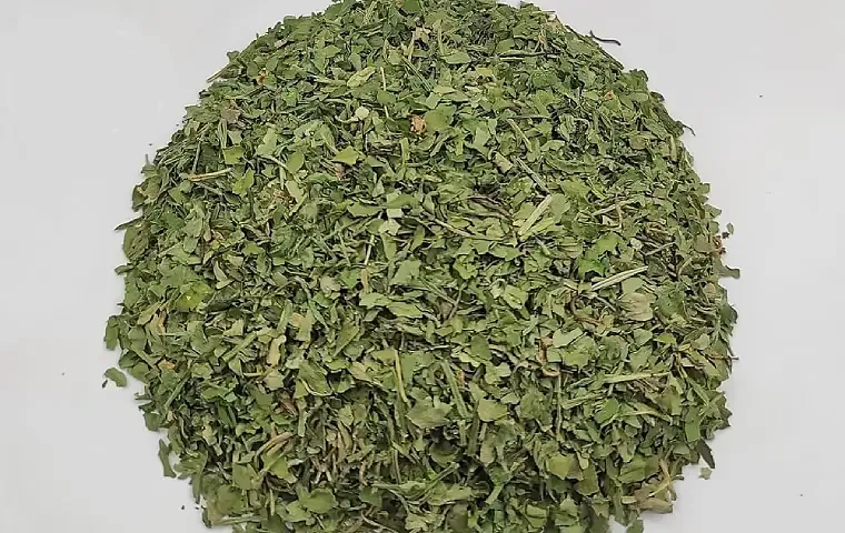 کرفس کوهی گرید A