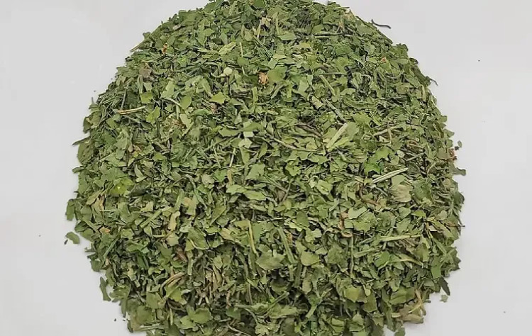 کرفس کوهی گرید A