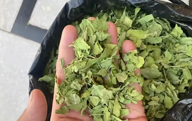 اسفناج وحشی خشک شده