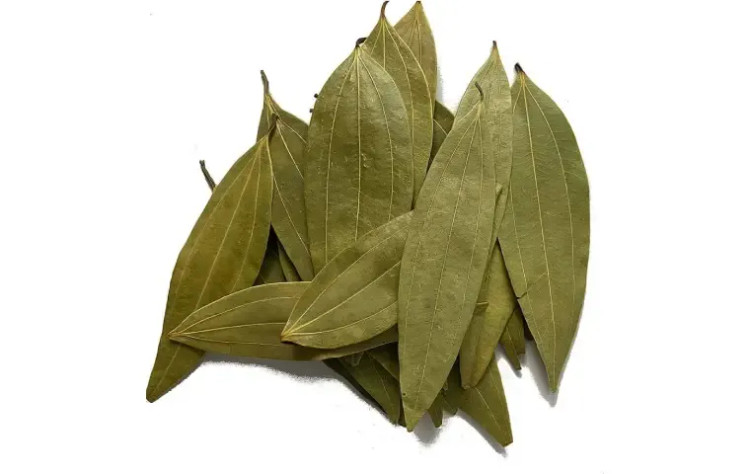 برگ بو